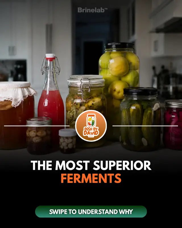 Everyone talks about “adding fermented foods” Very few understand how to structure them This is the hierarchy I come back to If you want the full system, The guide link is in my bio.
