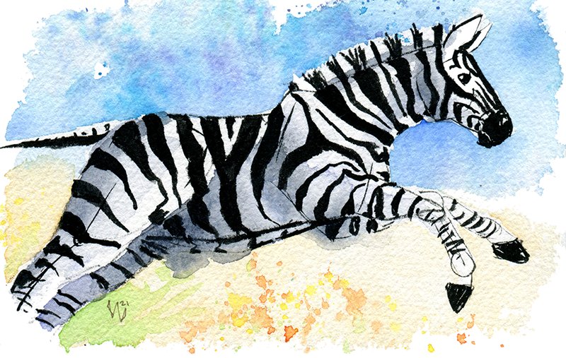 Zebra Tumbler product image (3)