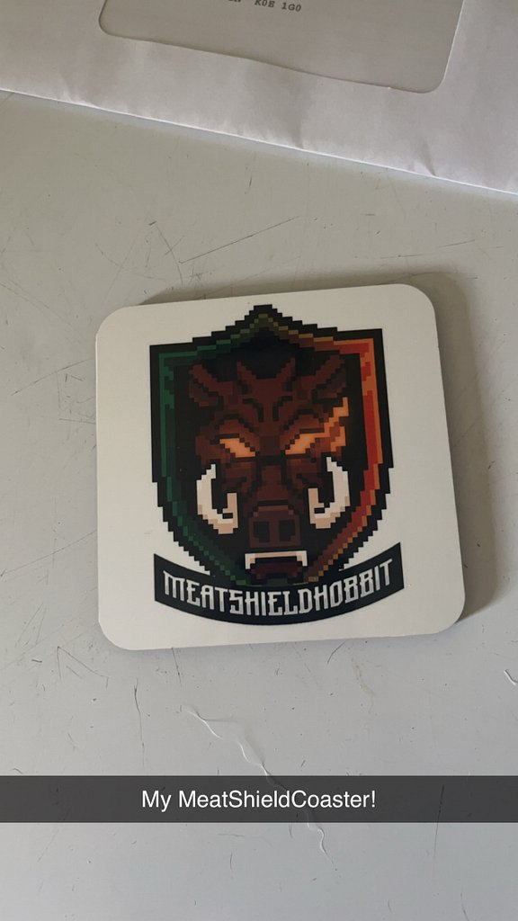 MeatShieldHobbit