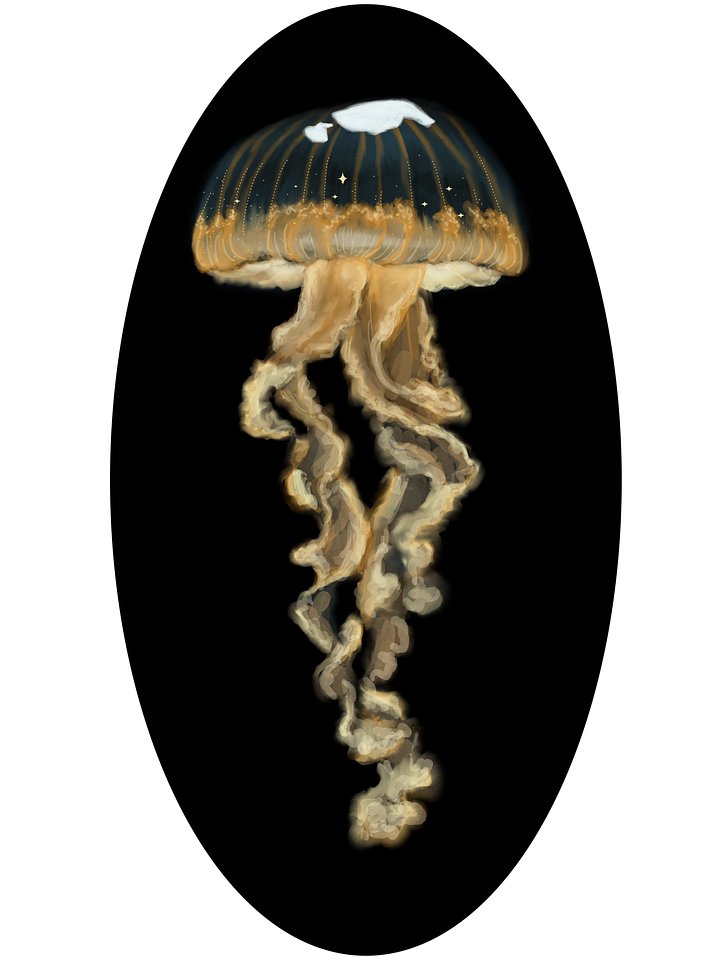 Jellyfish Sticker product image (1)