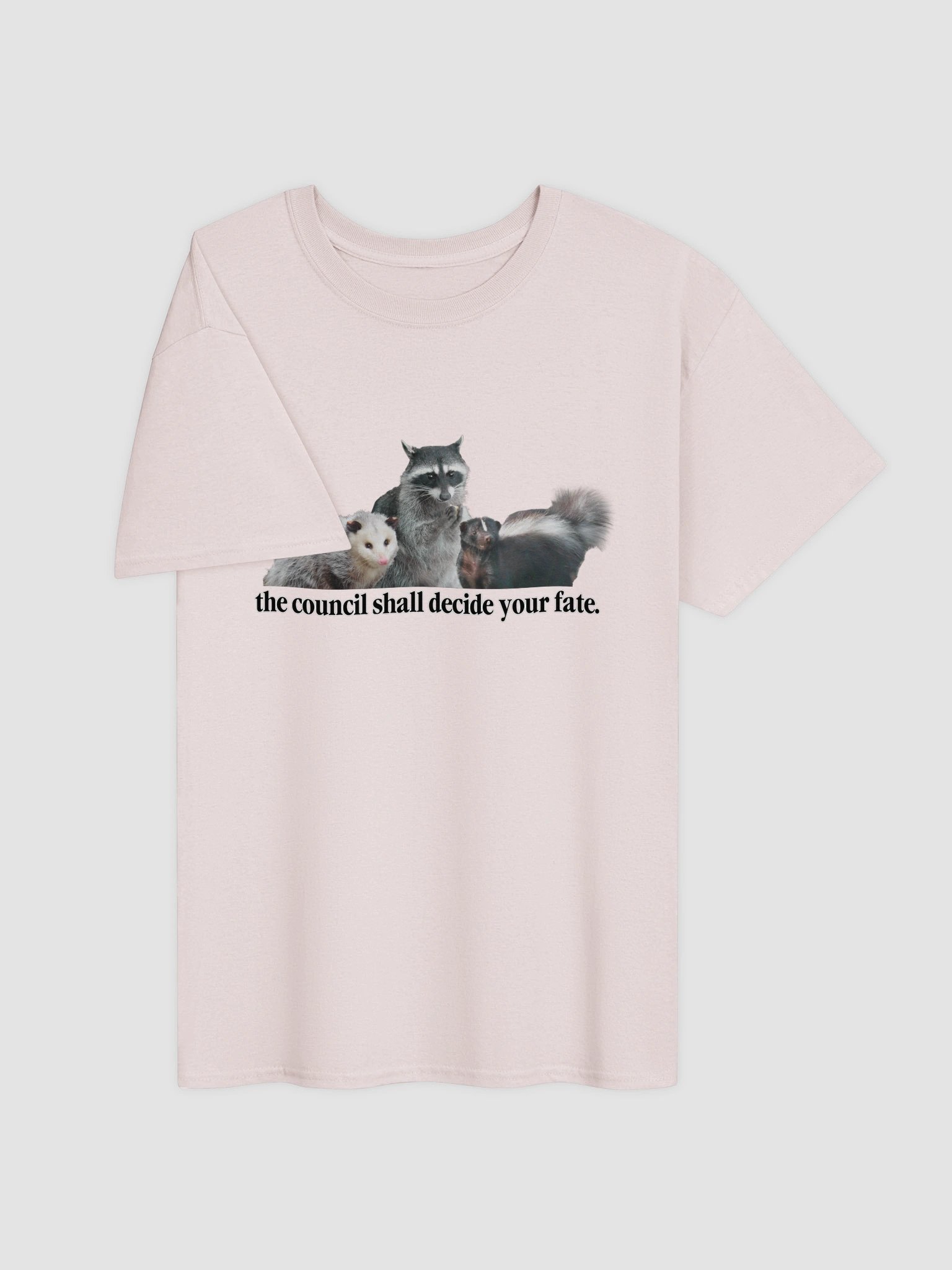 The council shall decide your fate T-shirt product image (28)