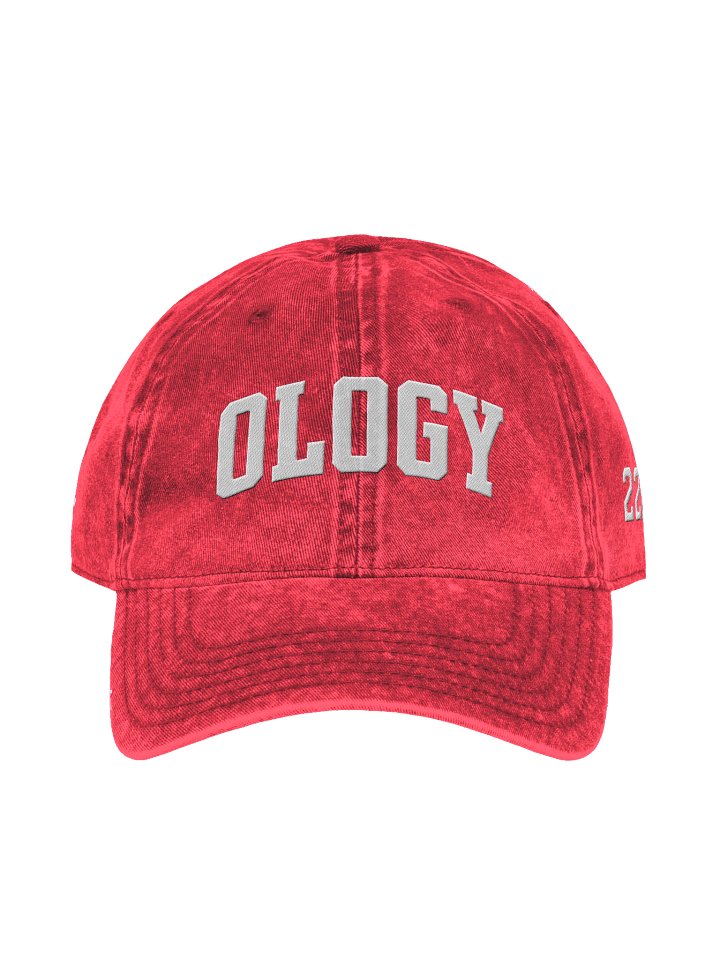 222 Trust The Signs Cap Red product image (2)