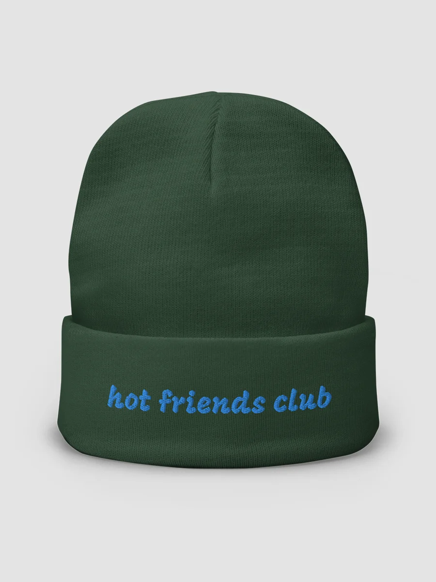 Hot Friends Club Knit Beanie product image (10)