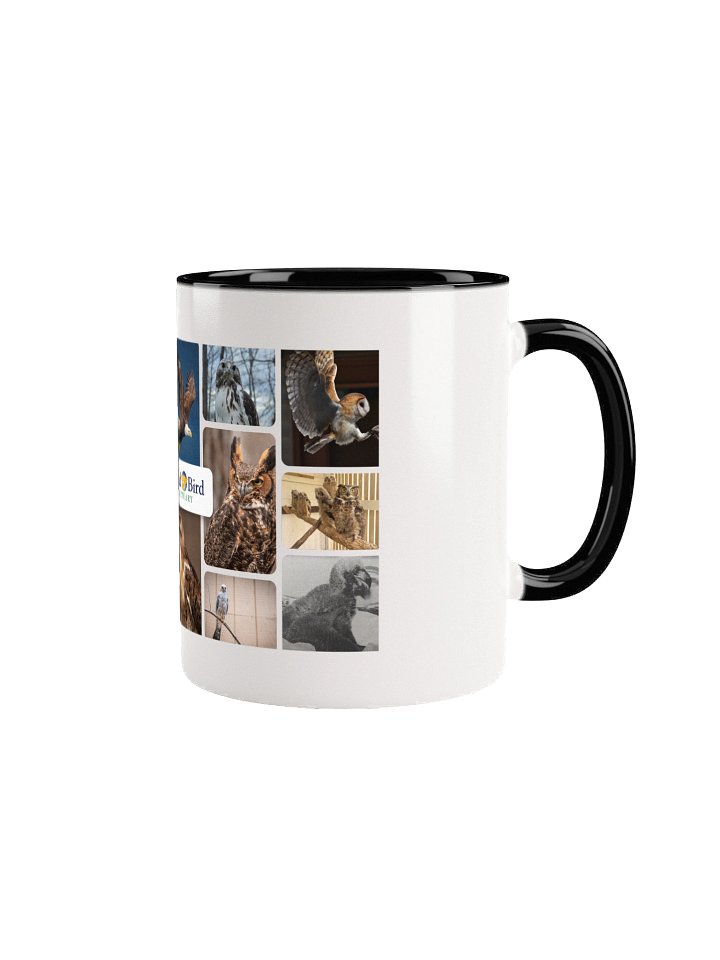 Birds of WBS Mug product image (1)