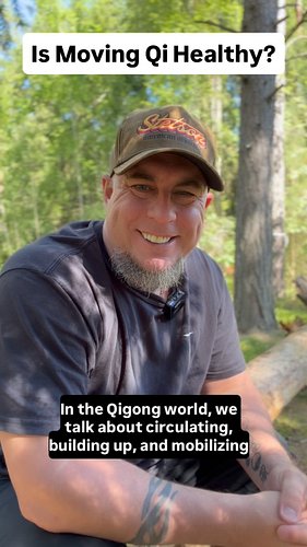 Is moving Qi healthy? Not always….

#qigong #neigong #tcm