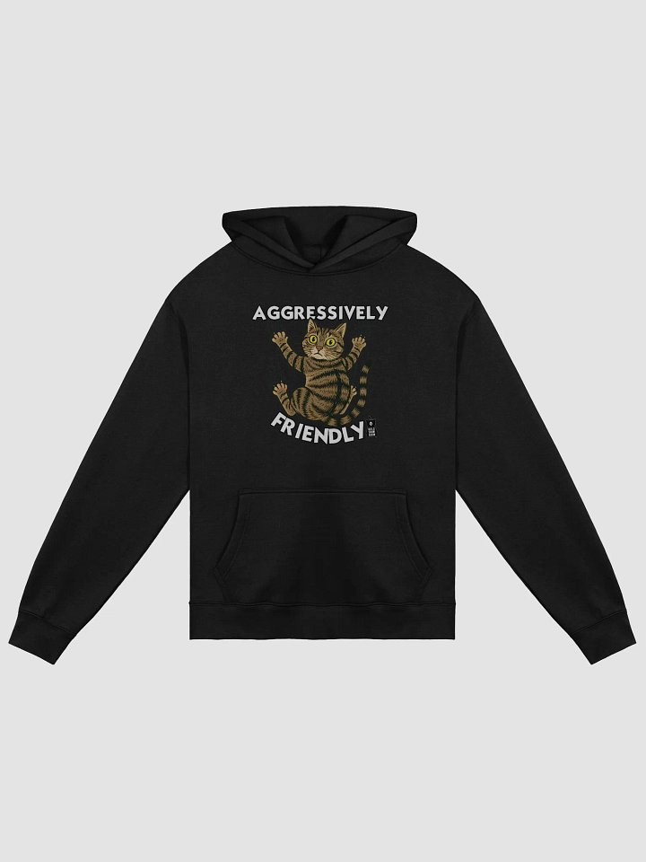 Ginny Barn Cat "Aggressively Friendly" Hoodie product image (3)
