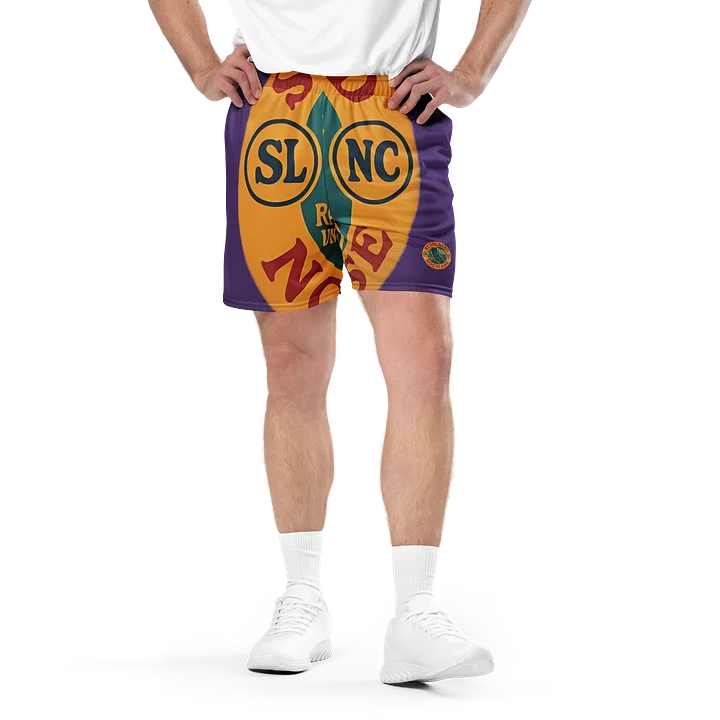 SLNC Logo Mesh Shorts (Purple) product image (2)
