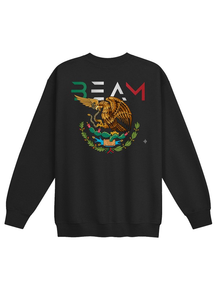 BEAM MEXICAN FLAG TSHIRT YOUTH product image (2)