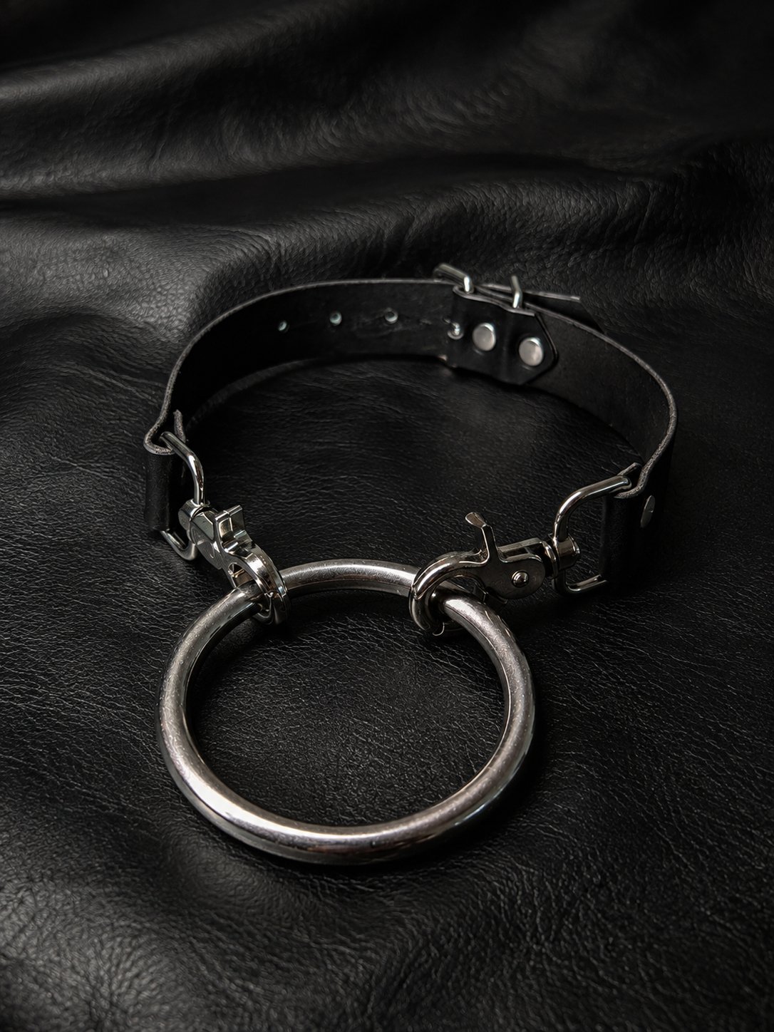 Big Dog Choker and Leash Convertible product image (2)