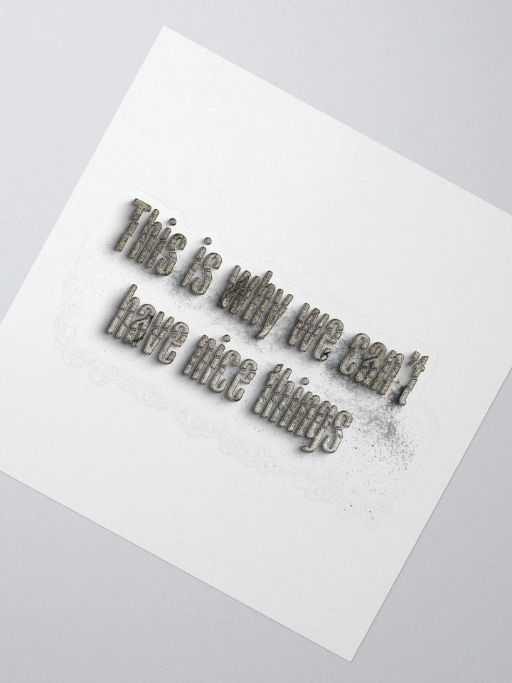 THIS IS WHY WE CAN'T HAVE NICE THINGS product image (5)