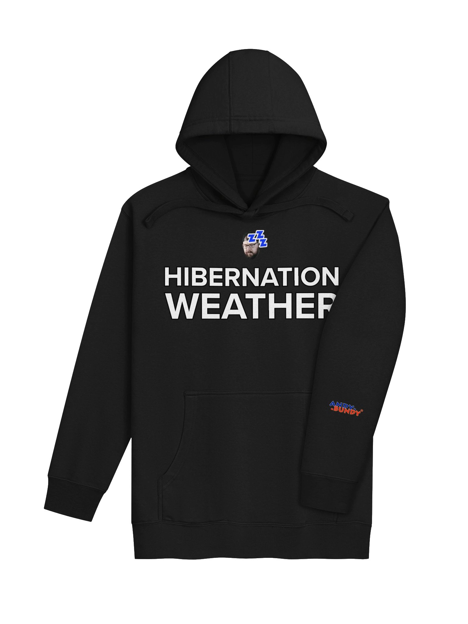 Hibernation Weather Hoodie product image (30)