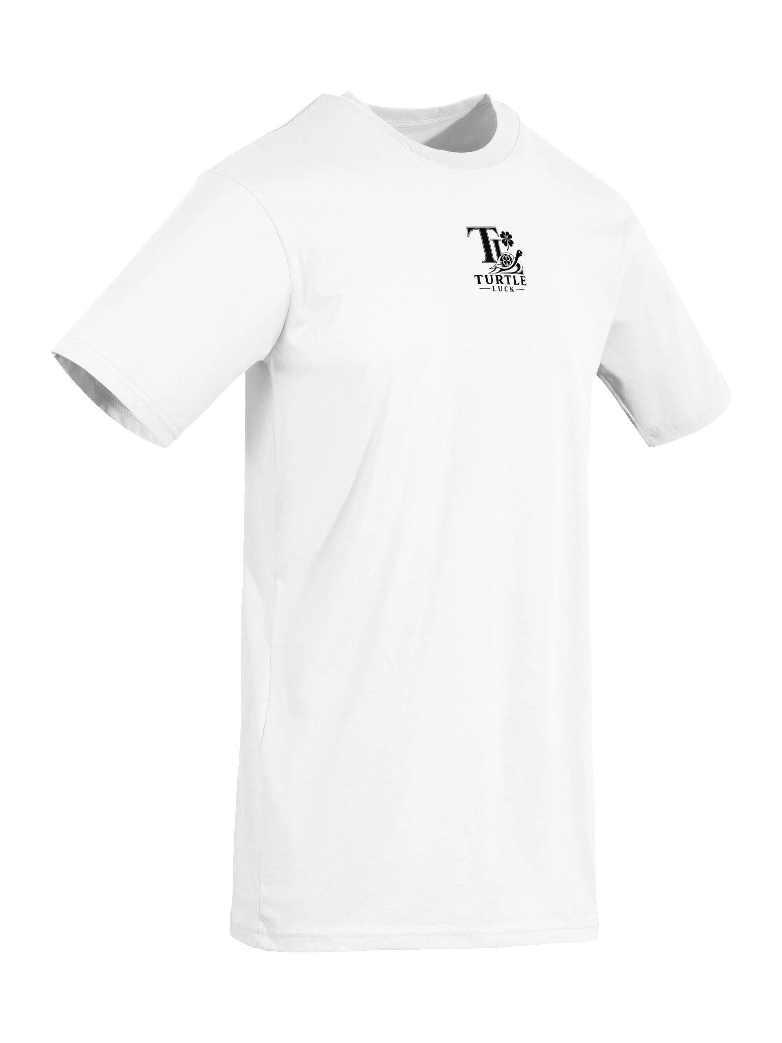 Turtle Media Men's Premium Heavyweight Tee product image (10)