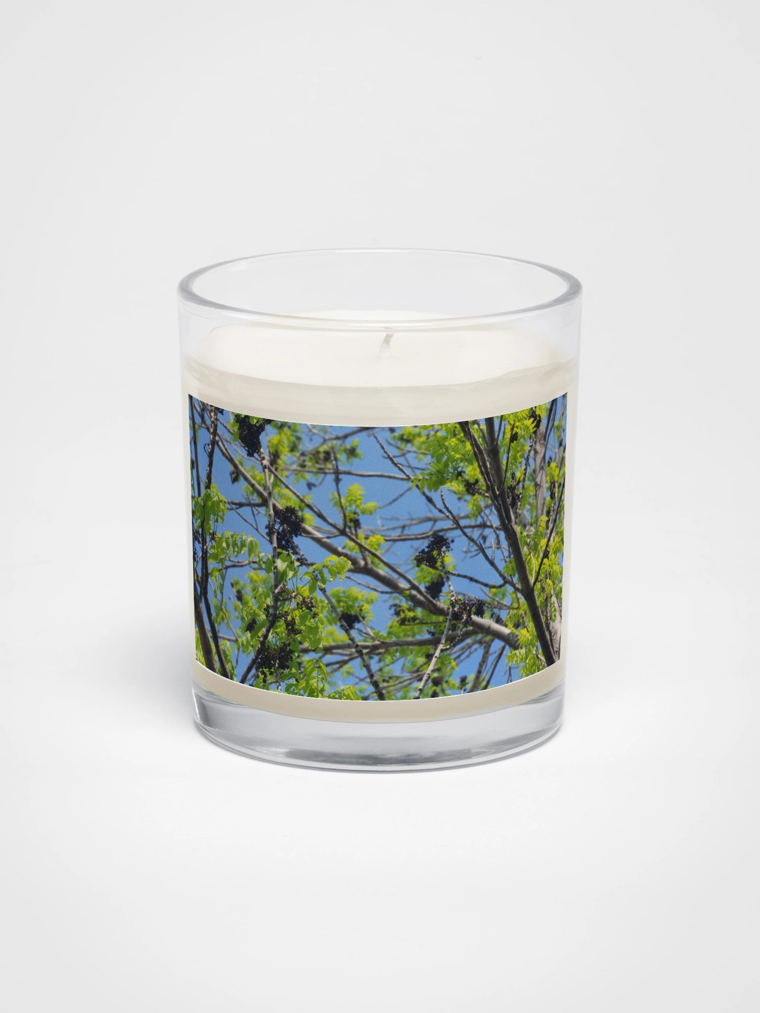 Serenity Tree Soy Wax Candle product image (1)