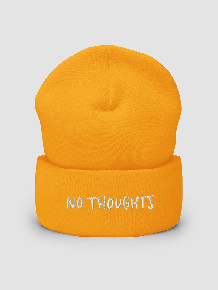 no thoughts embroidered cuffed beanie product image (1)