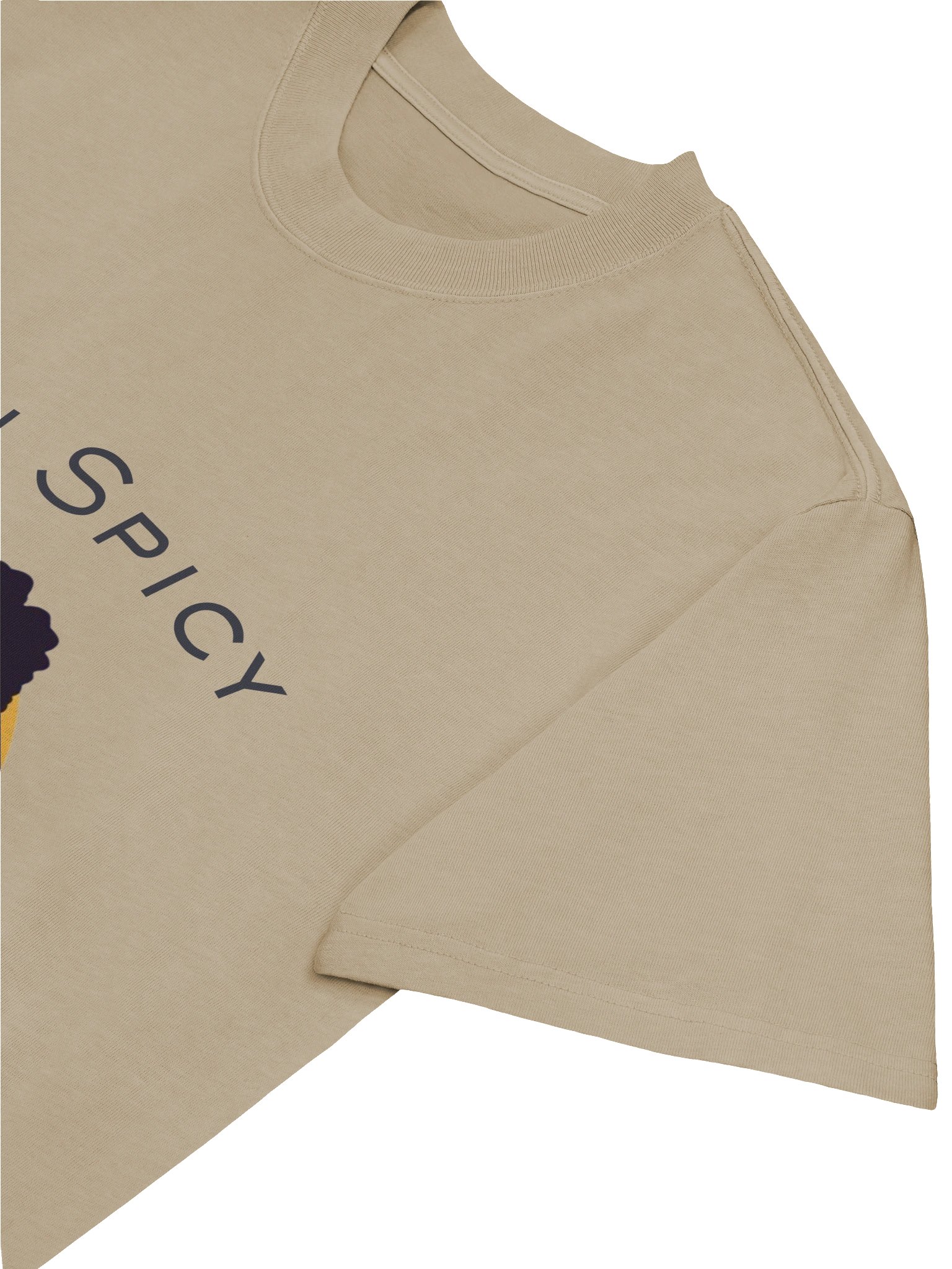Spicy Island Vibes Oversized Tee product image (13)