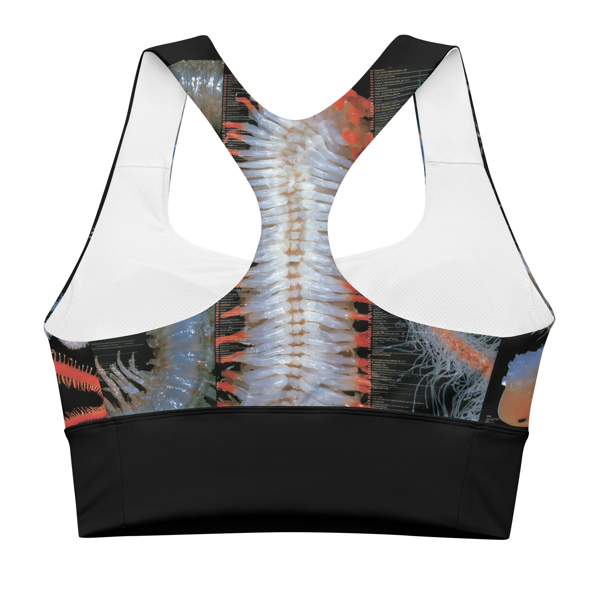 MOONWORM 01- CROP TOP BRALETTE product image (4)