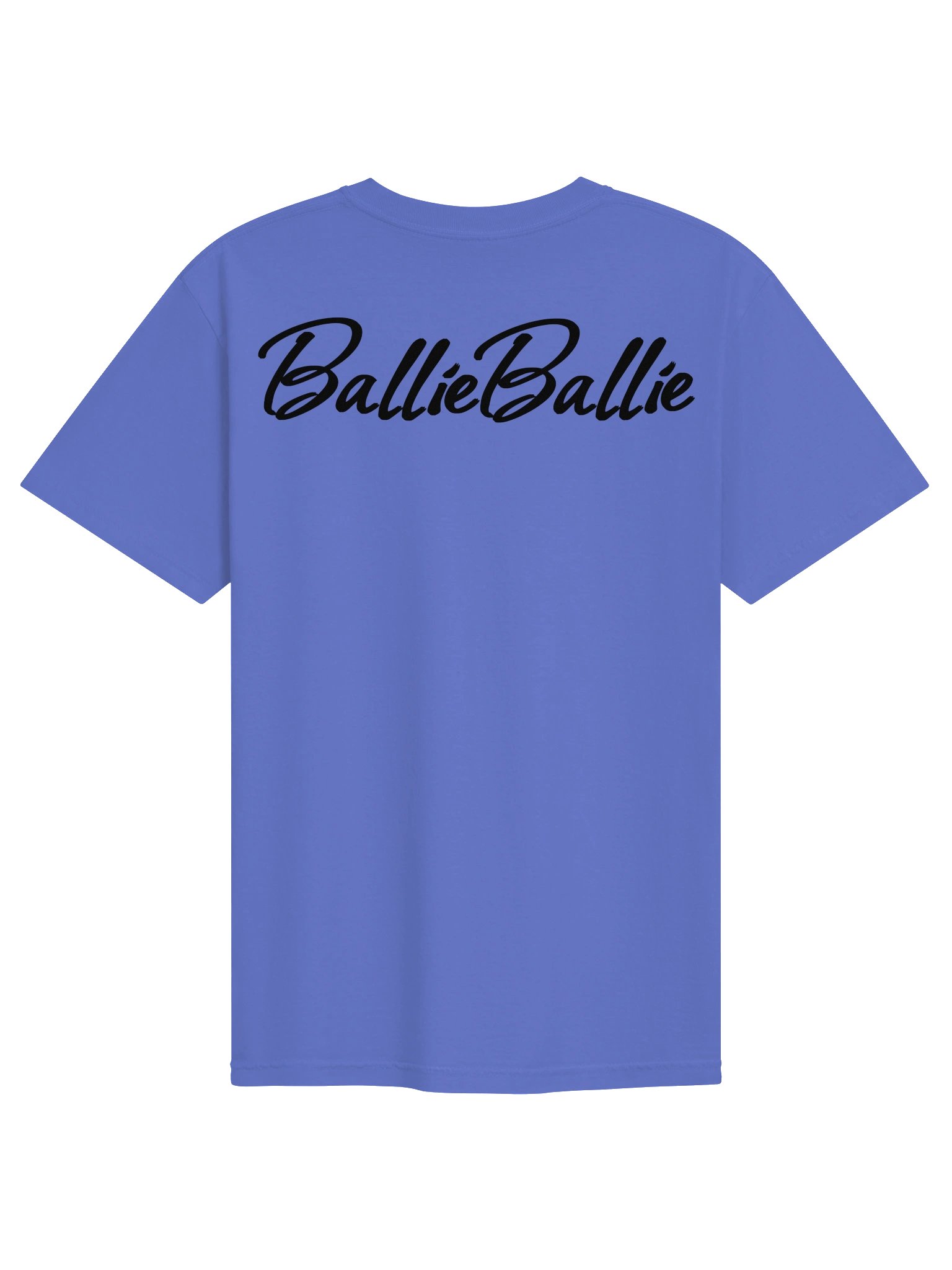 T-Shirt product image (2)