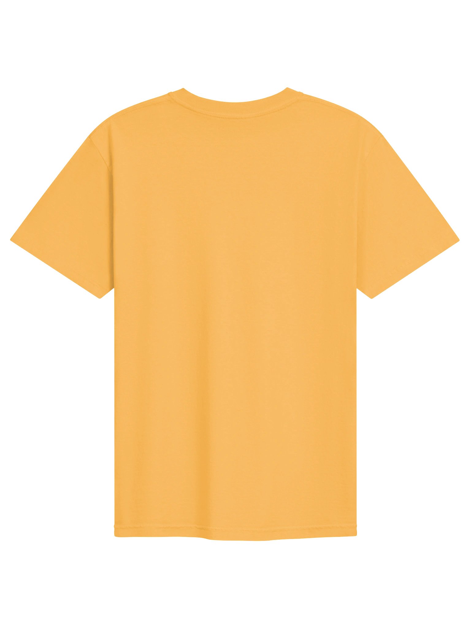 Bureau of Pigeon Affairs Heavyweight Tee product image (32)