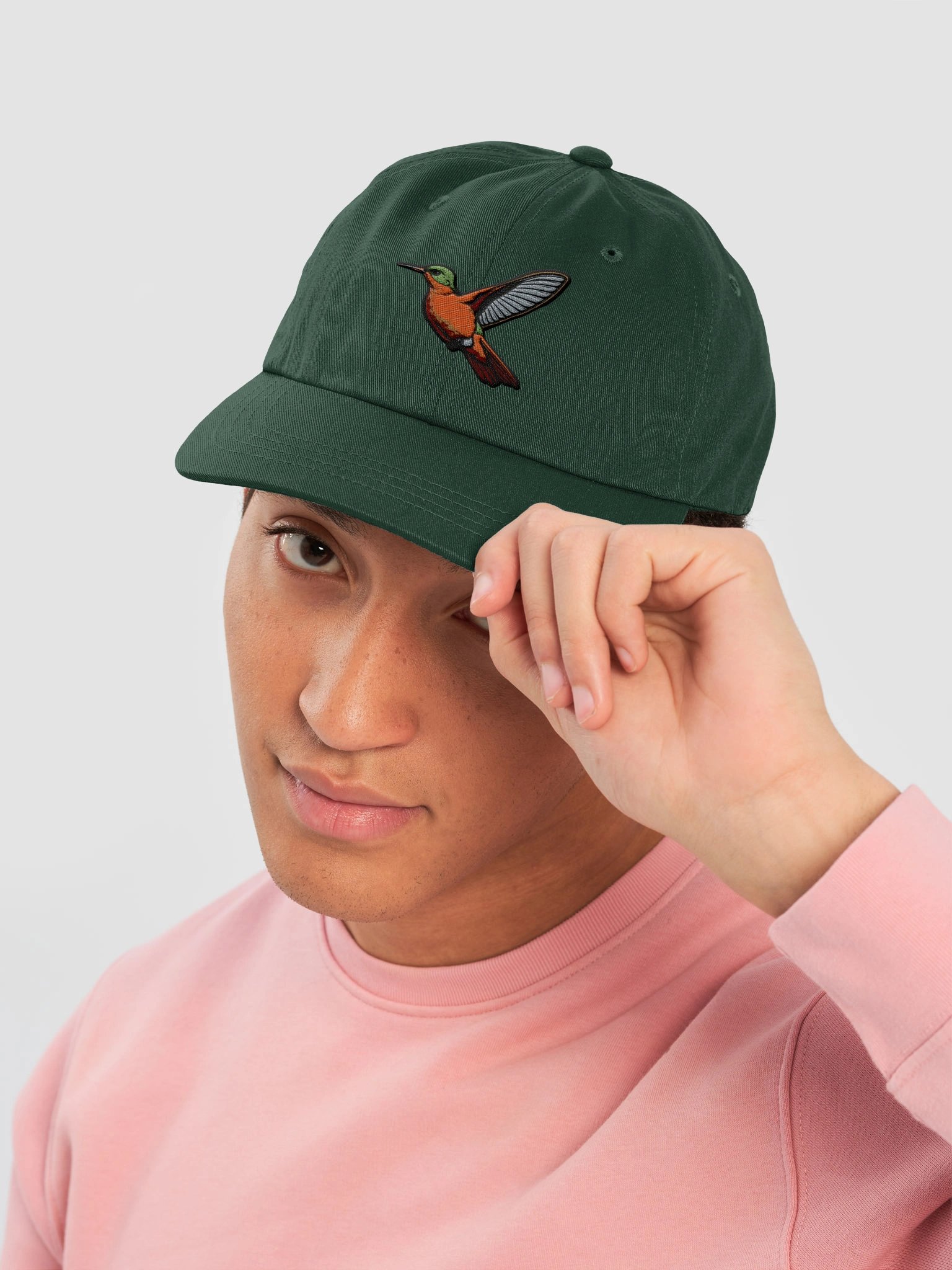 Cinnamon Hummingbird Embroidered Hat | Hummingbird Dad Cap | Bird Lover Gift product image (37)