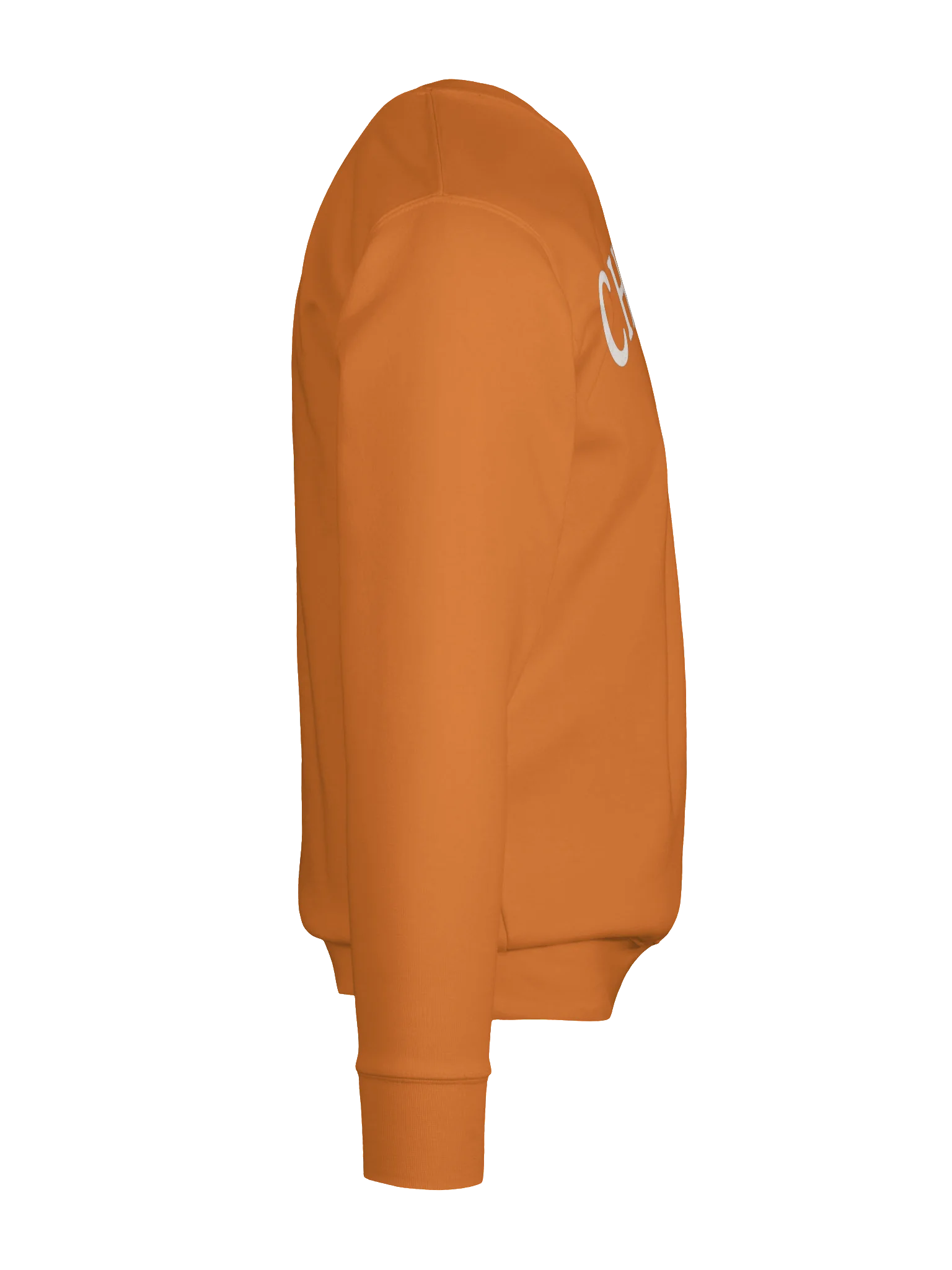 Chatty Acorn Premium Sweatshirt | Cozy Chatty Fall Collection product image (10)