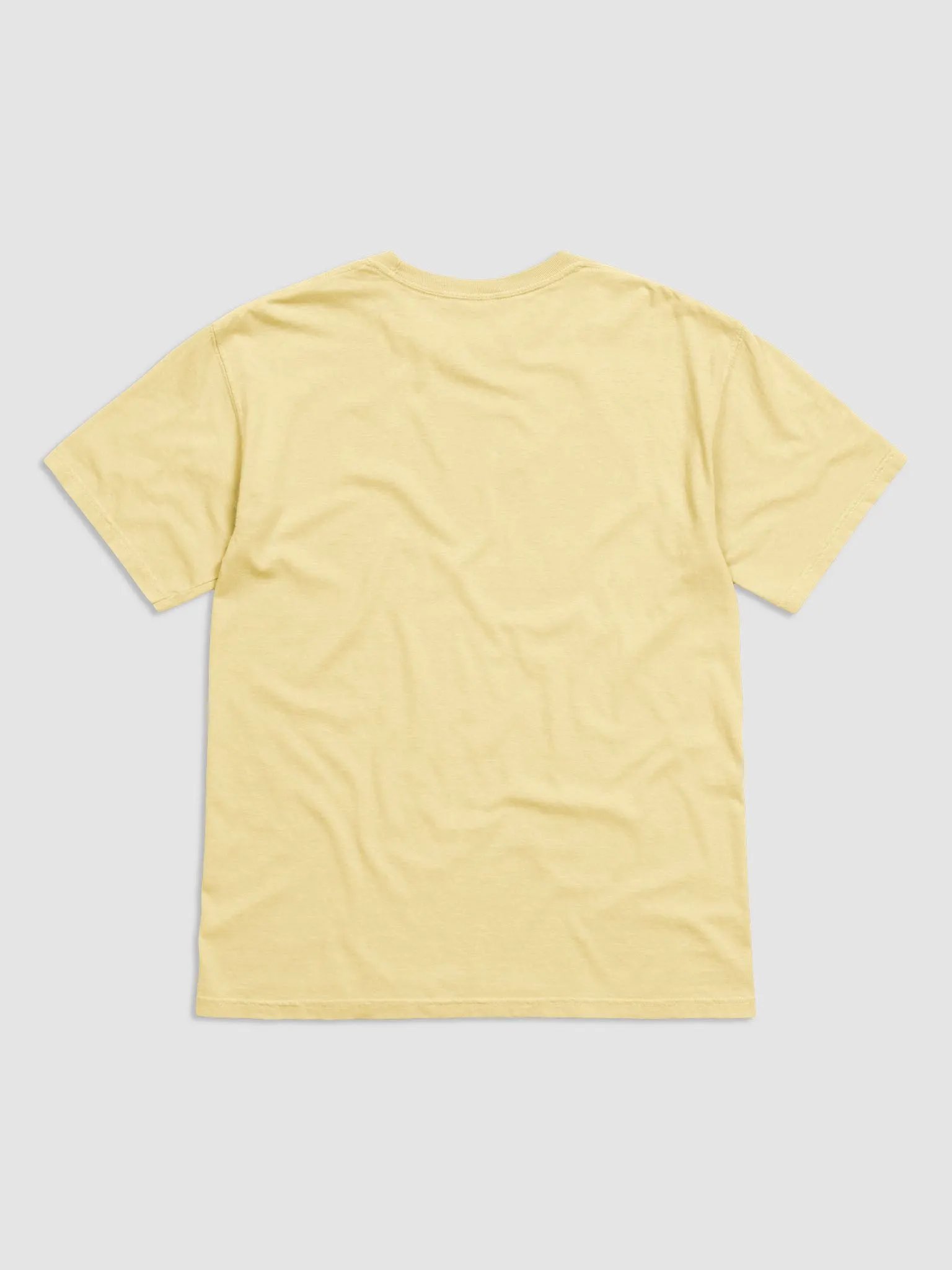 Roaring Lion Comfort Tee product image (10)