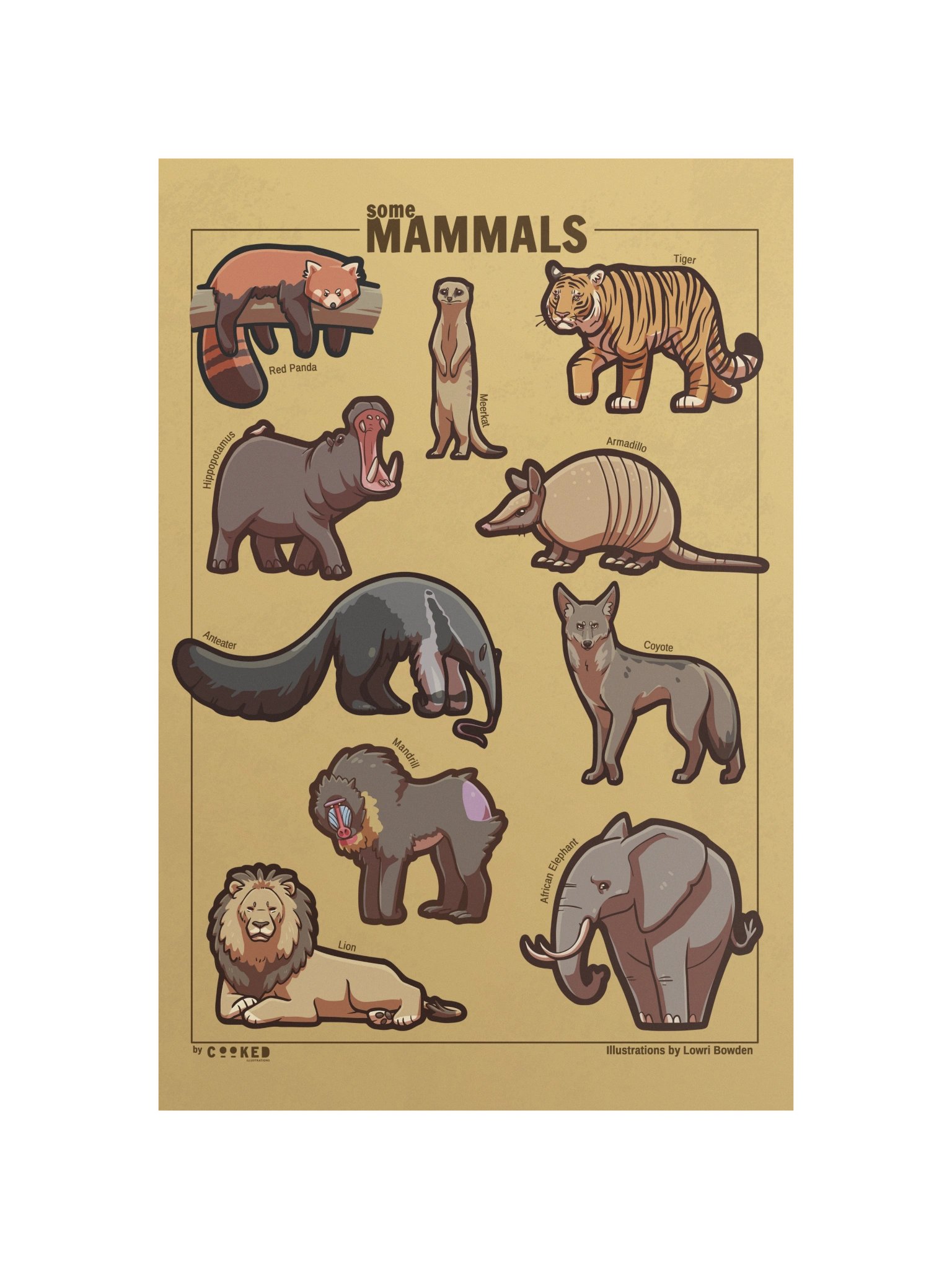 Another Abundance of Mammals Poster - 10 Illustrated Mammals Poster - Original Illustrated Poster product image (4)