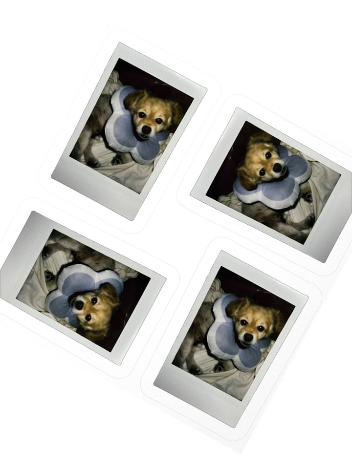 For your friends product image (6)
