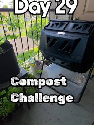 Day 27 of the Compost Challenge #30daychallenge