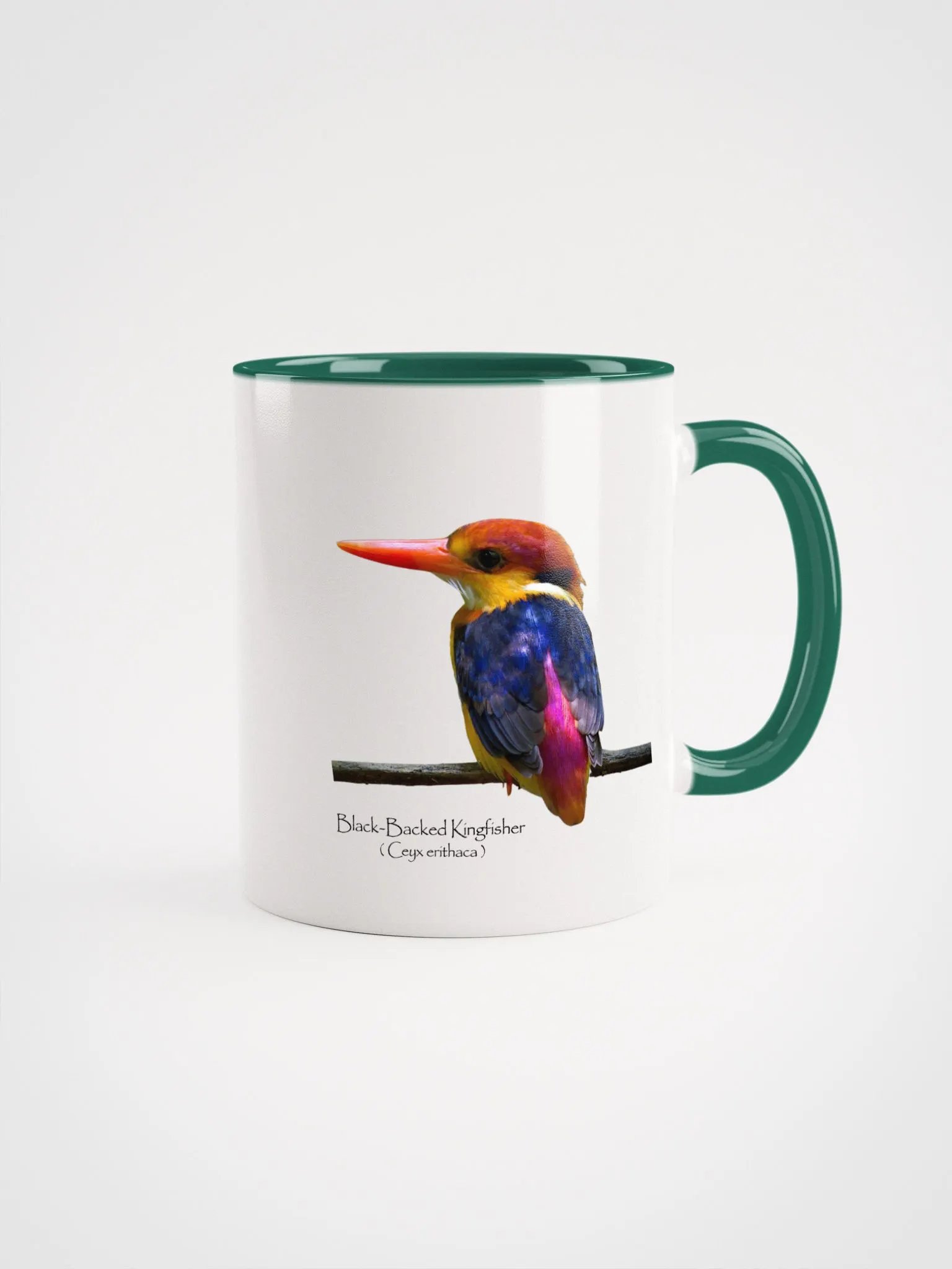 Oriental Dwarf Kingfisher product image (9)