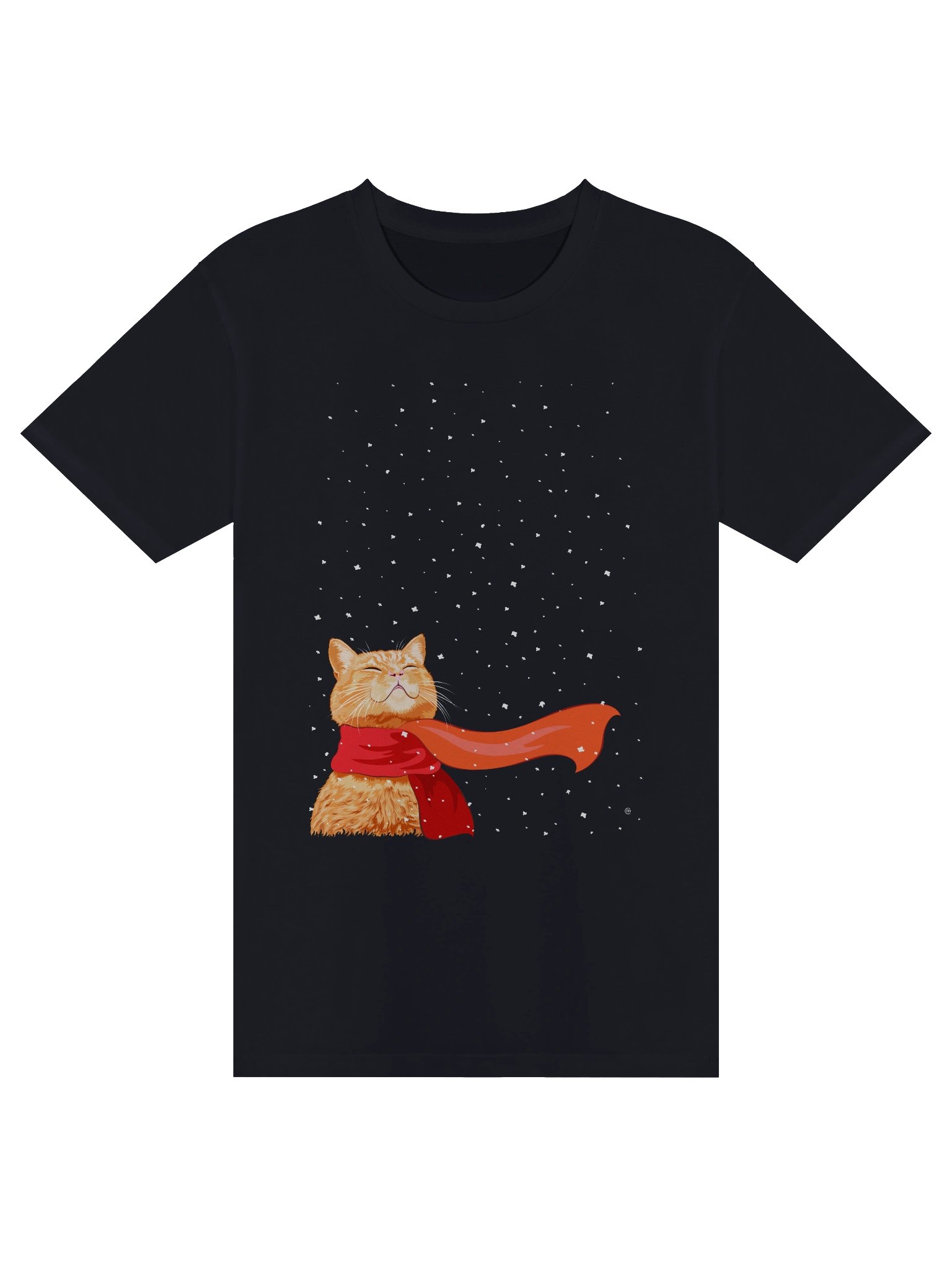 Tabby Loves Snow product image (1)