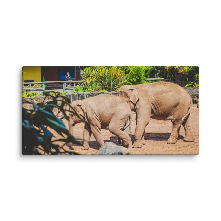 Wildlife Wanderers product image (2)