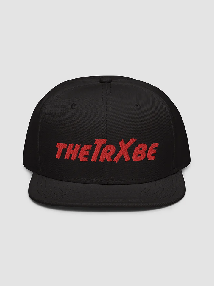 theTrXbe Snapback product image (2)