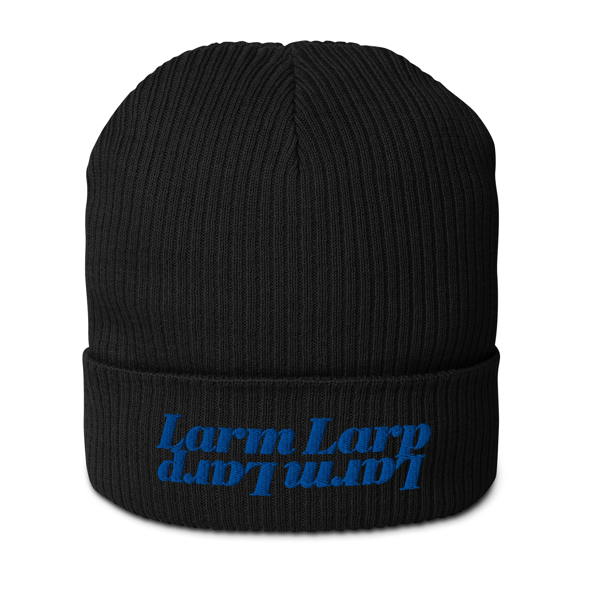 Larm Larp Beanie (Blue) product image (1)