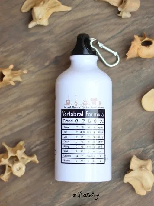 Canine Body System Sports Jugs product image (10)