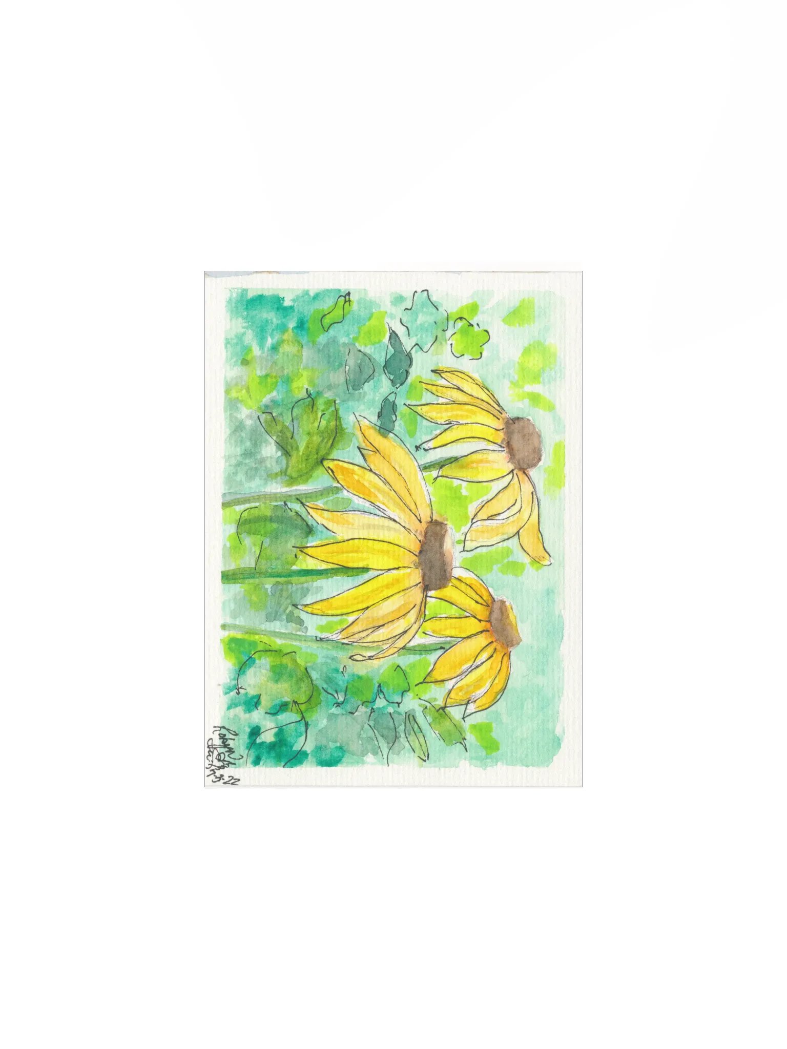 Cornflower Cluster Print product image (1)
