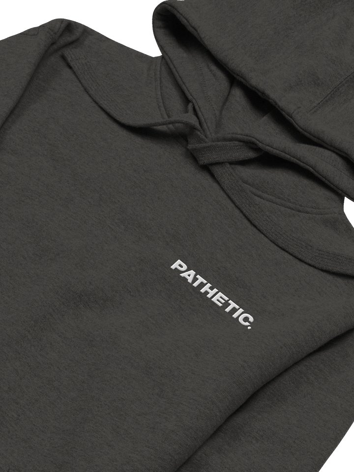 Pathetic Hoodie - Embroidered product image (13)