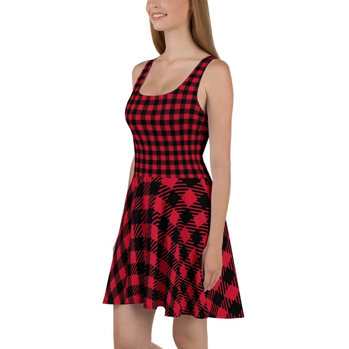 Bold Buffalo Plaid Skater Dress product image (1)