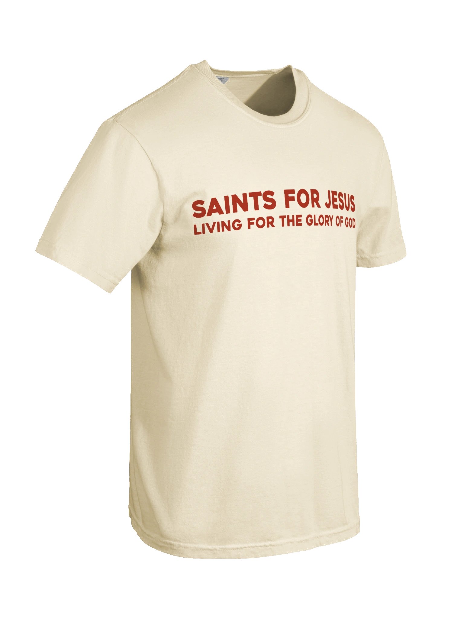The Gospel T-Shirt product image (9)