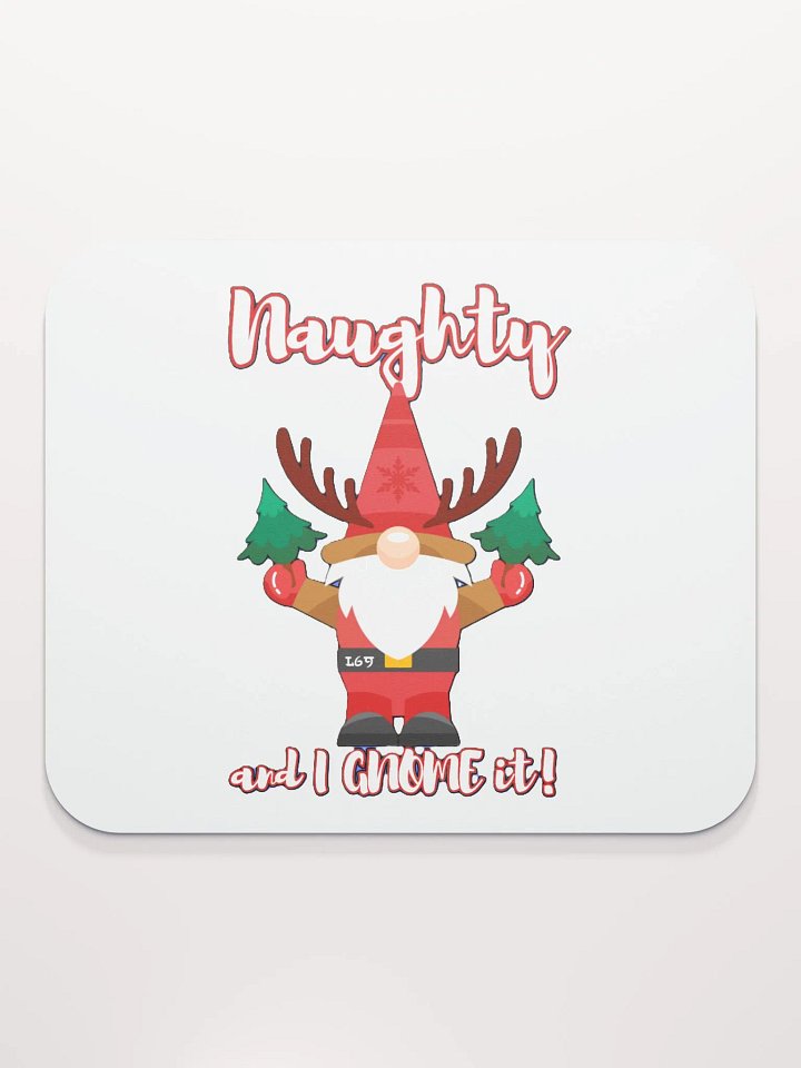 NAUGHTY AND I GNOME IT product image (1)