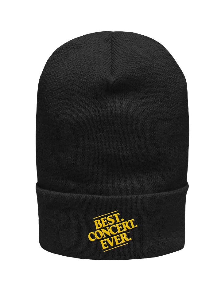 Best. Beanie. Ever. product image (1)