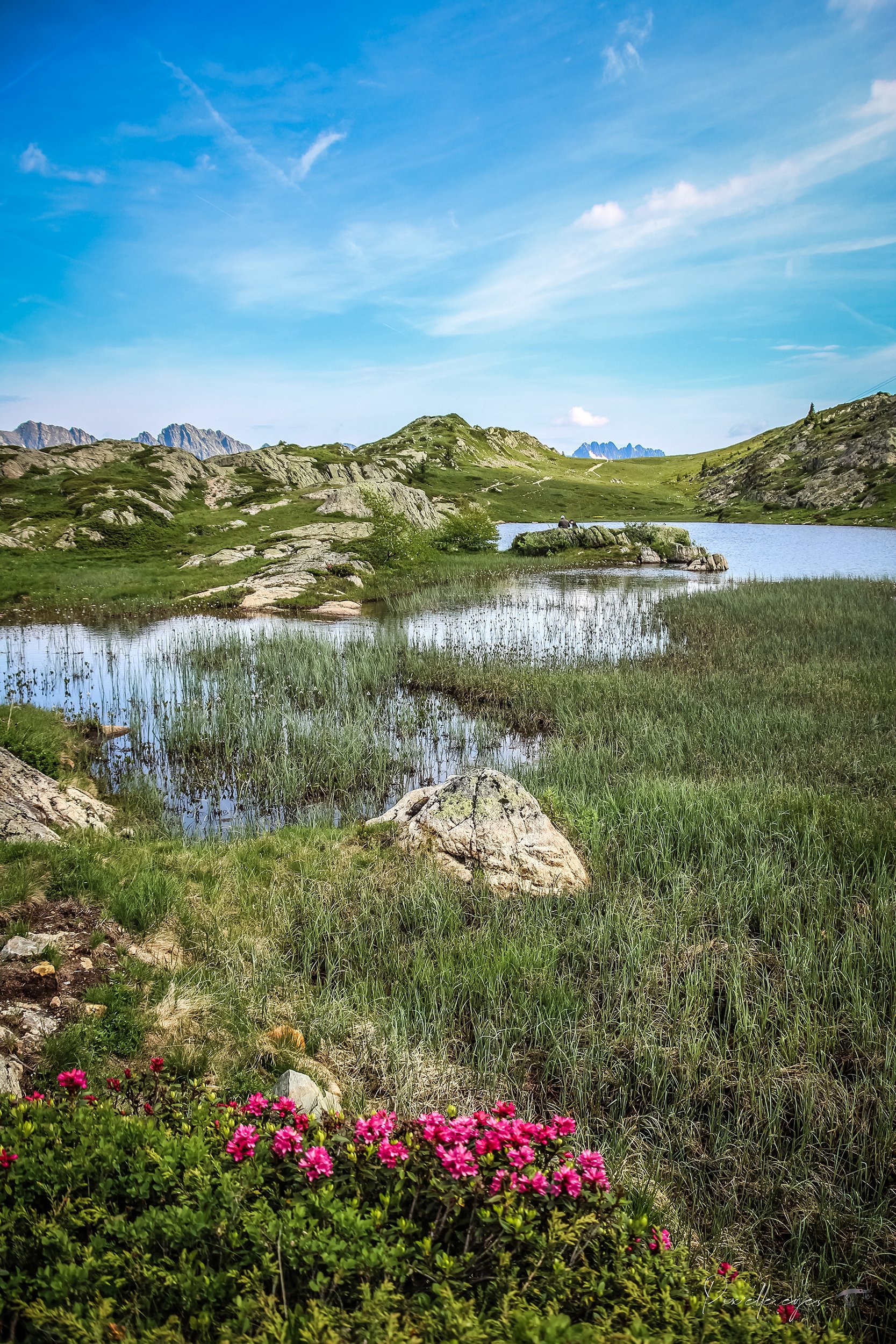 Fine Art Photography – Alpe d’Huez – Blooming Alpine Haven product image (1)