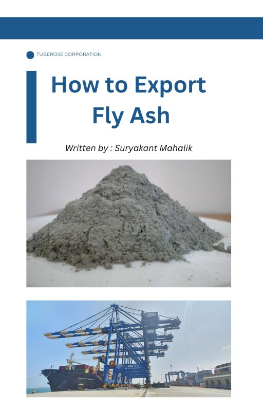 Fly Ash Export product image (1)
