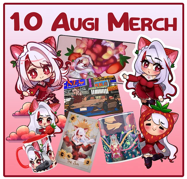 1.0 Design Augi