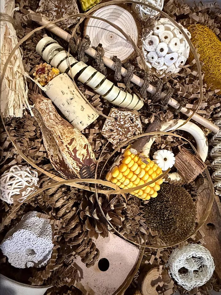 Busy Beaks Foraging Box product image (1)