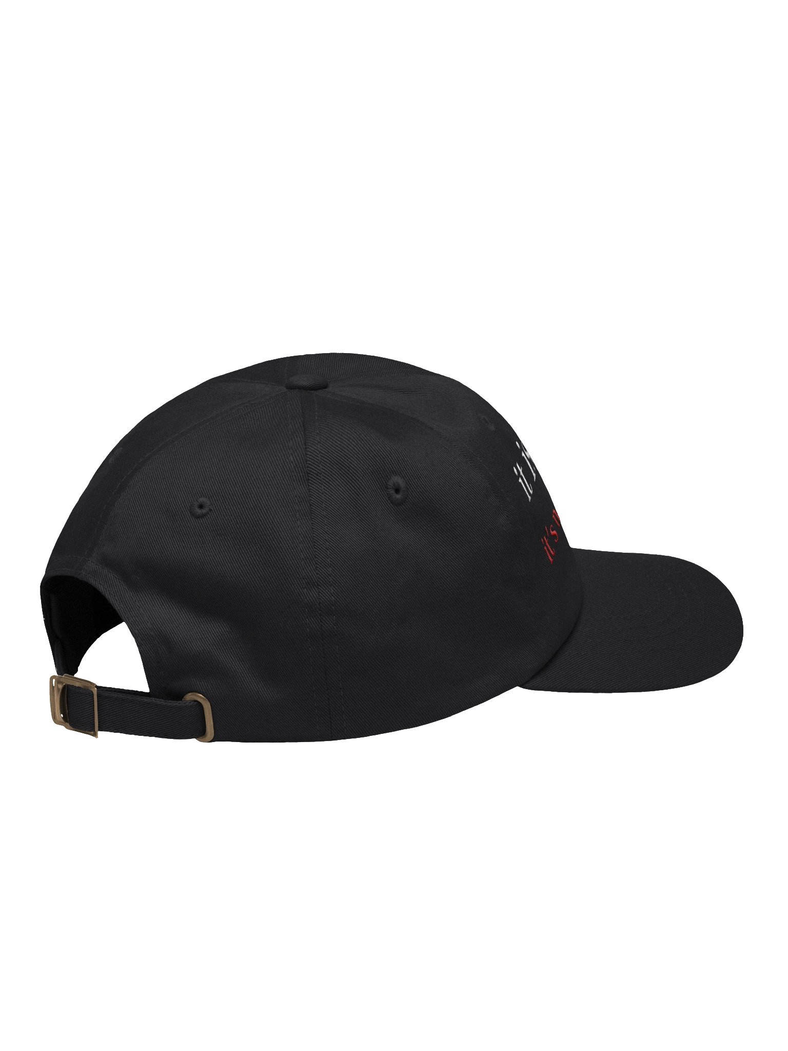 The Dad Hat — both things at once product image (4)