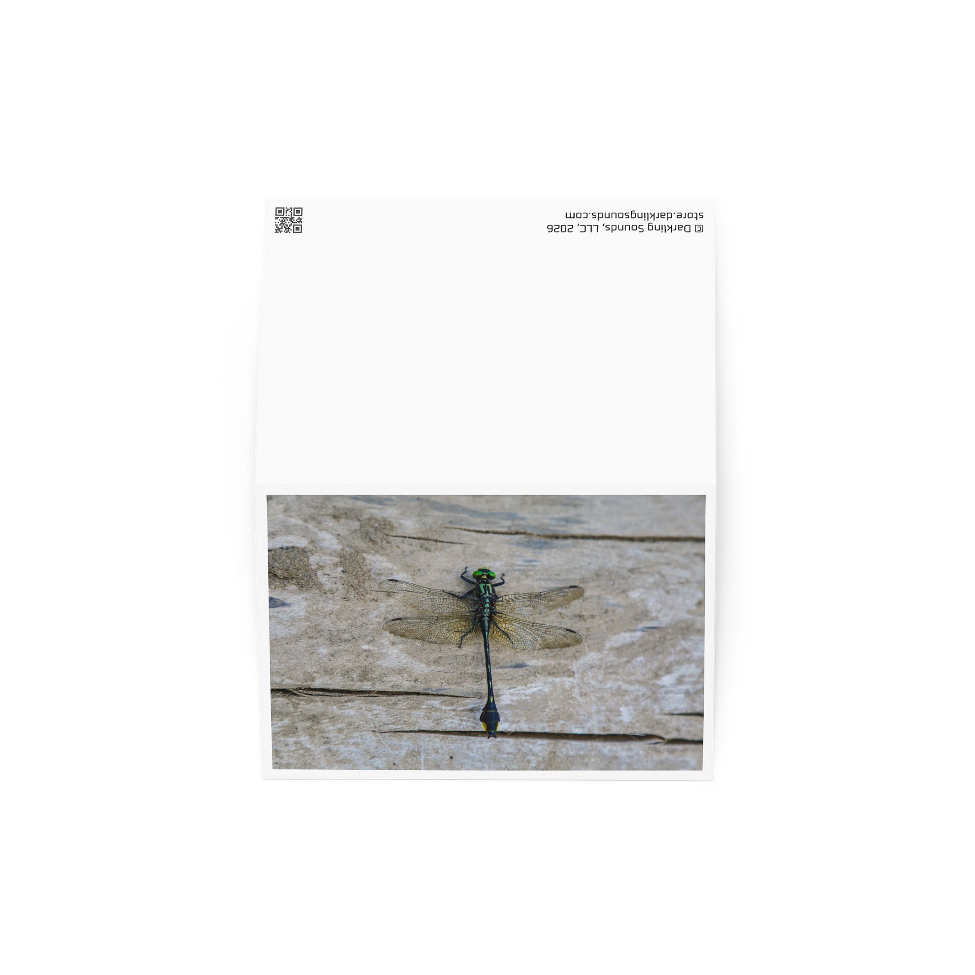 Dragonfly - Greeting Card product image (4)