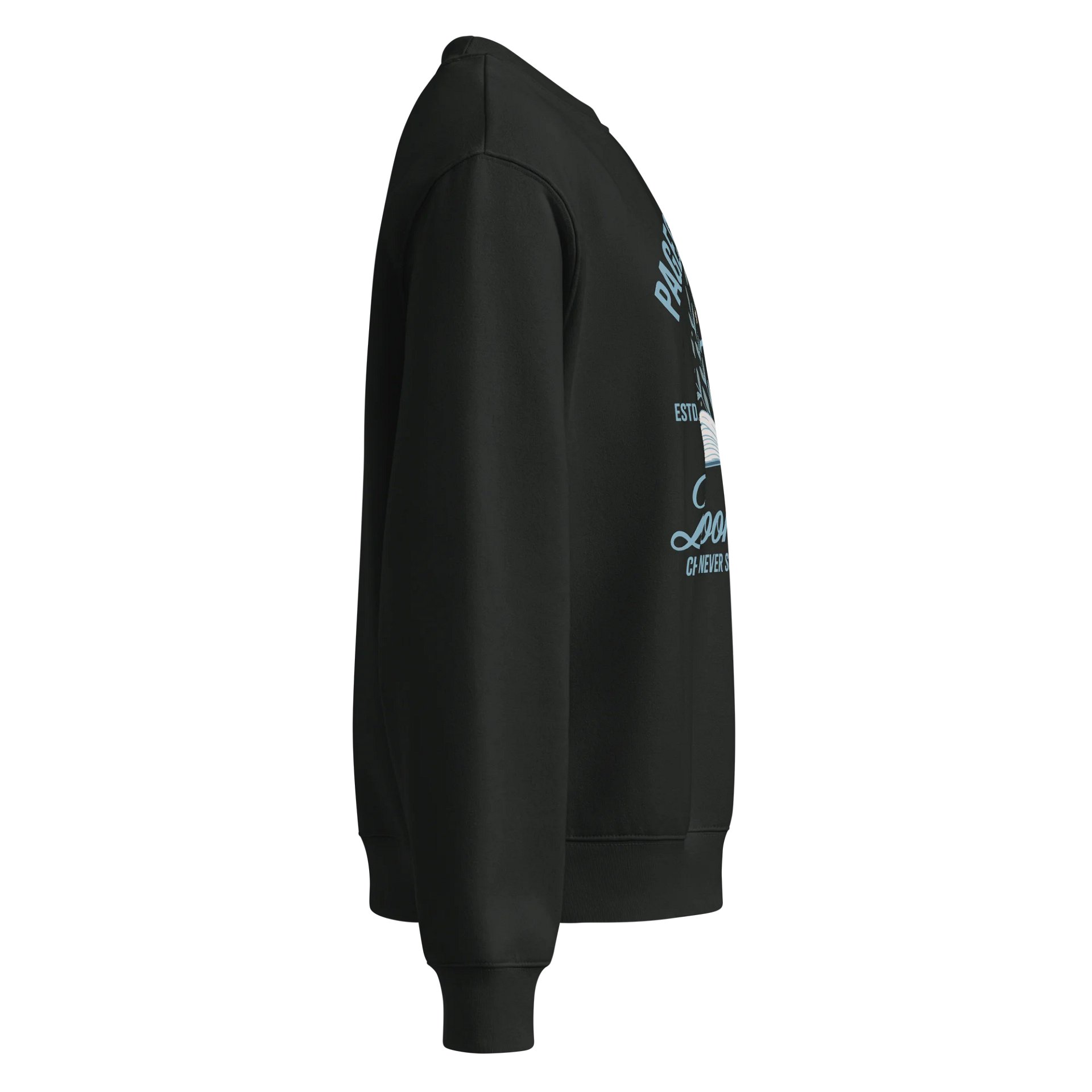 Pages of Chaos Book Club Sweatshirt (Dark) product image (4)