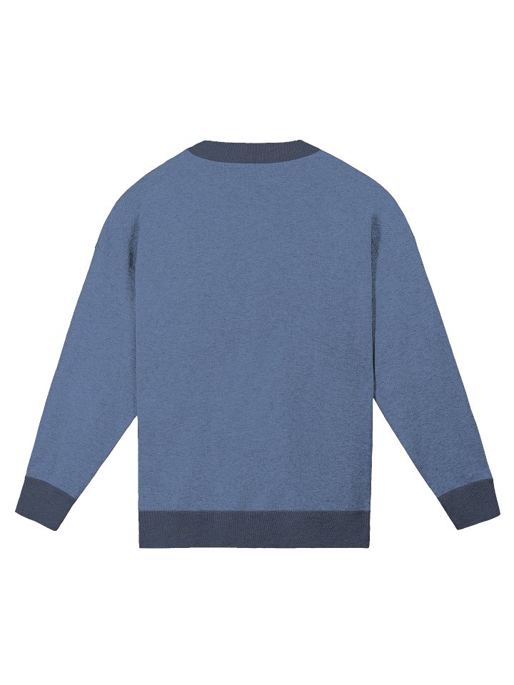South Carolina Flag Jacquard Sweater – Relaxed Knit Pullover with Palmetto Tree & Crescent product image (6)