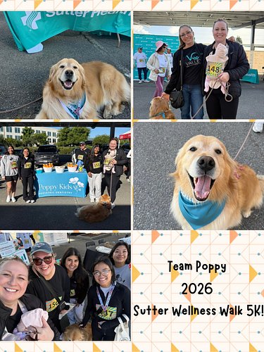 Thank you Novato Sutter Health for another super fun Wellness Walk 5K! 🎉🥳We had so much fun! We even got Hawley to look at th...