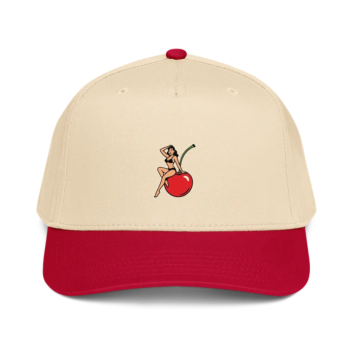 cherry cushion hat product image (1)